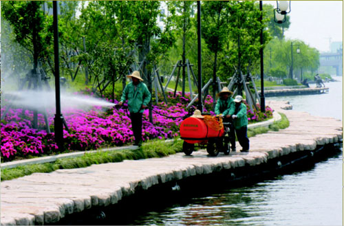 綠化養(yǎng)護(hù) 綠化養(yǎng)護(hù)